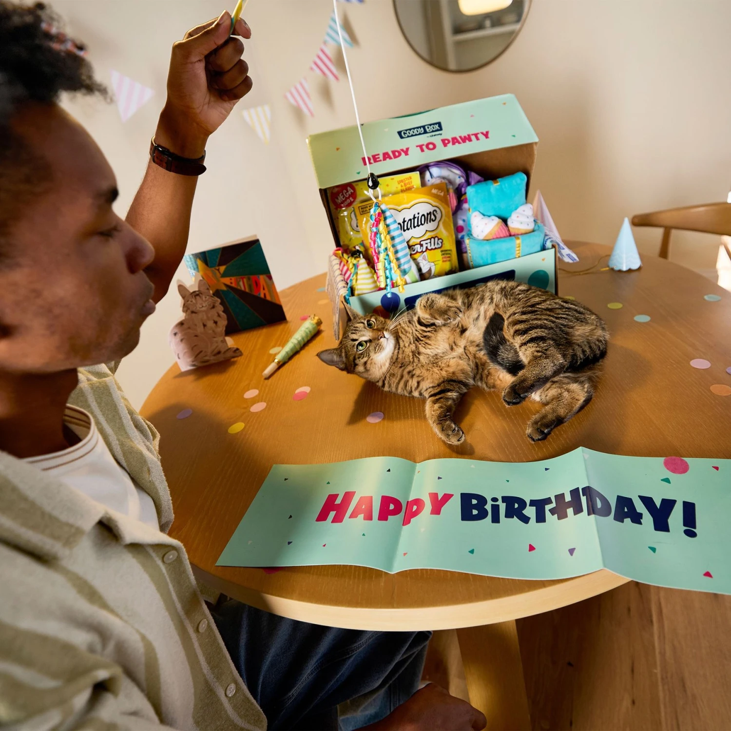 Goody Box Birthday Cat Toys, Treats & Collar 3 Goody Box Birthday Cat Toys, Treats & Collar - Image 3