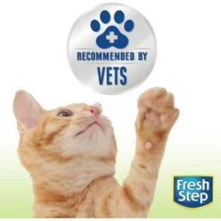 Fresh Step Advanced Simply Unscented Clumping Clay Cat Litter, 18.5-lb Box -Mewhaus Shop 266344 PT4. AC SS1800 V1694459346