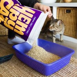 HempAlta Unscented Non-Clumping Hemp Cat Litter, 2.2-lb Bag -Mewhaus Shop 266727 PT3. AC SS1800 V1677162267
