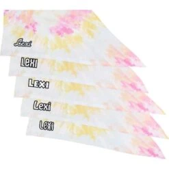 Frisco Tiedye Personalized Dog & Cat Bandana 13 Frisco Tiedye Personalized Dog & Cat Bandana -Mewhaus Shop 267482 PT4. AC SS1800 V1632416499