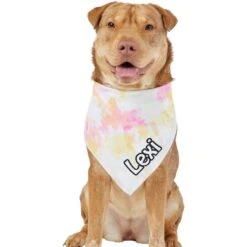 Frisco Tiedye Personalized Dog & Cat Bandana 15 Frisco Tiedye Personalized Dog & Cat Bandana -Mewhaus Shop 267482 PT6. AC SS1800 V1632428490