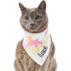 Frisco Tiedye Personalized Dog & Cat Bandana 16 Frisco Tiedye Personalized Dog & Cat Bandana -Mewhaus Shop 267482 PT7. AC SS1800 V1632420107