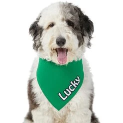 Frisco Solid Color Personalized Dog & Cat Bandana 15 Frisco Solid Color Personalized Dog & Cat Bandana -Mewhaus Shop 267489 PT6. AC SS1800 V1632418582