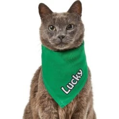 Frisco Solid Color Personalized Dog & Cat Bandana 16 Frisco Solid Color Personalized Dog & Cat Bandana -Mewhaus Shop 267489 PT7. AC SS1800 V1632431774