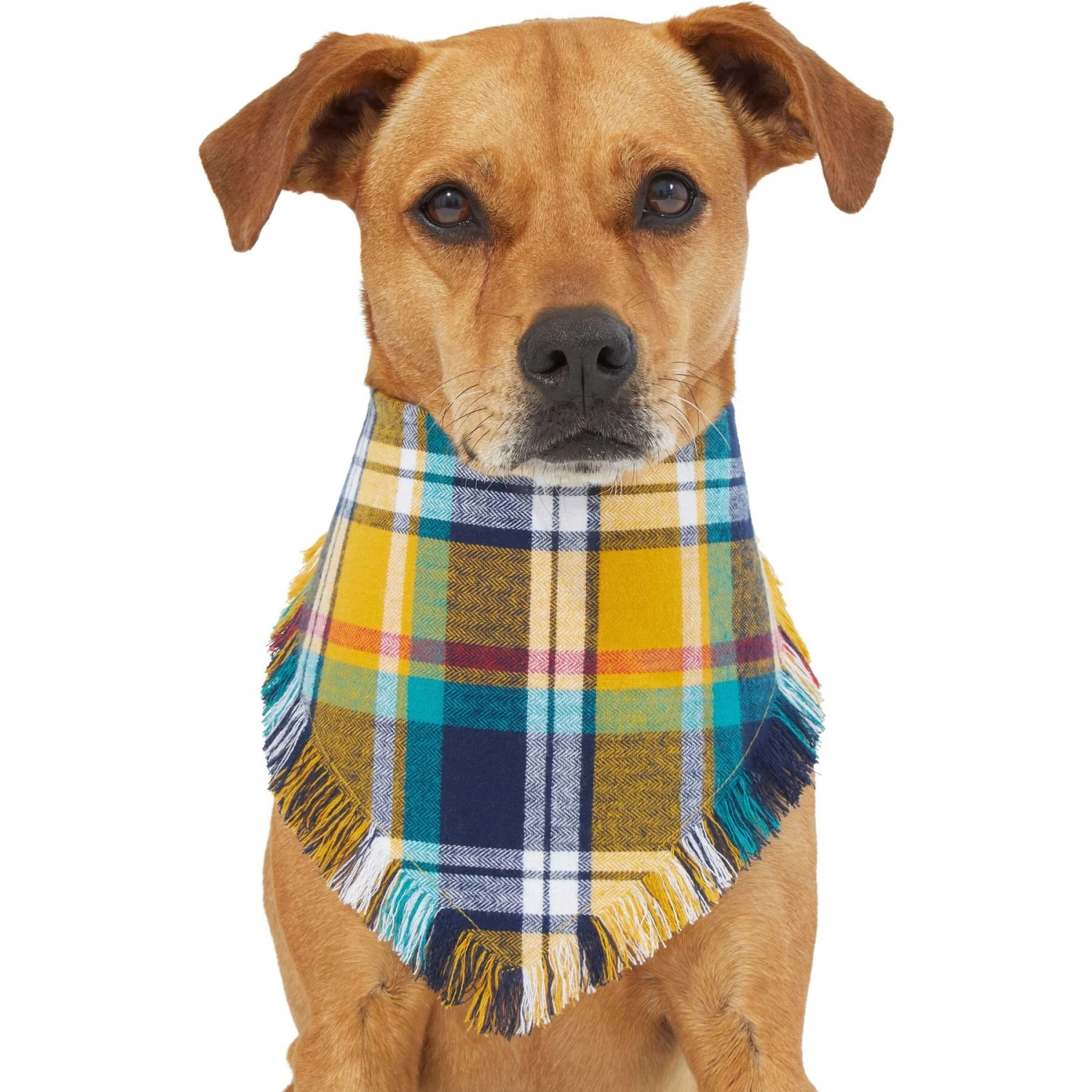 Frisco Blue/Yellow Plaid Dog & Cat Flannel Bandana 3 Frisco Blue/Yellow Plaid Dog & Cat Flannel Bandana - Image 3