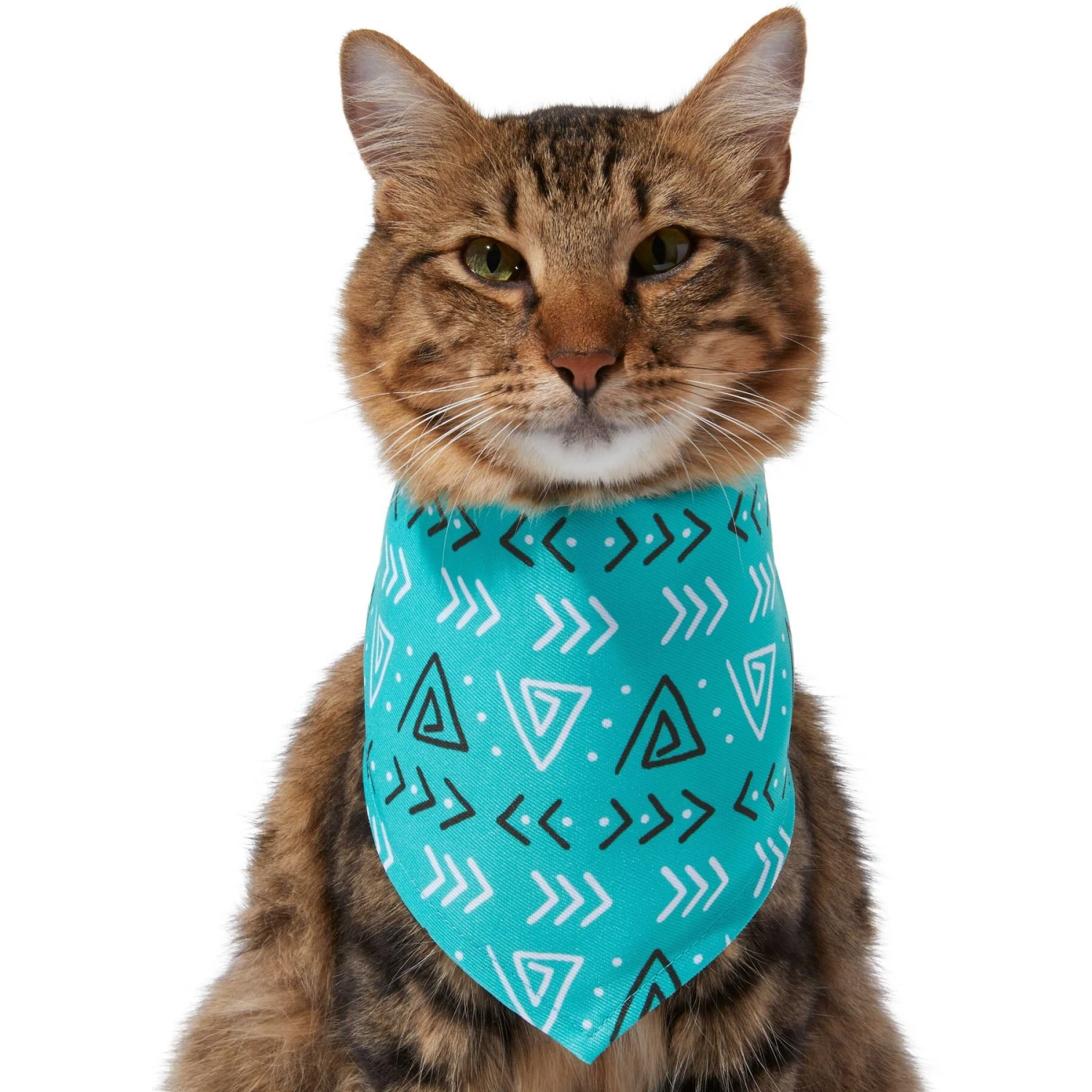 Frisco Geometric Dog & Cat Bandana 4 Frisco Geometric Dog & Cat Bandana - Image 4