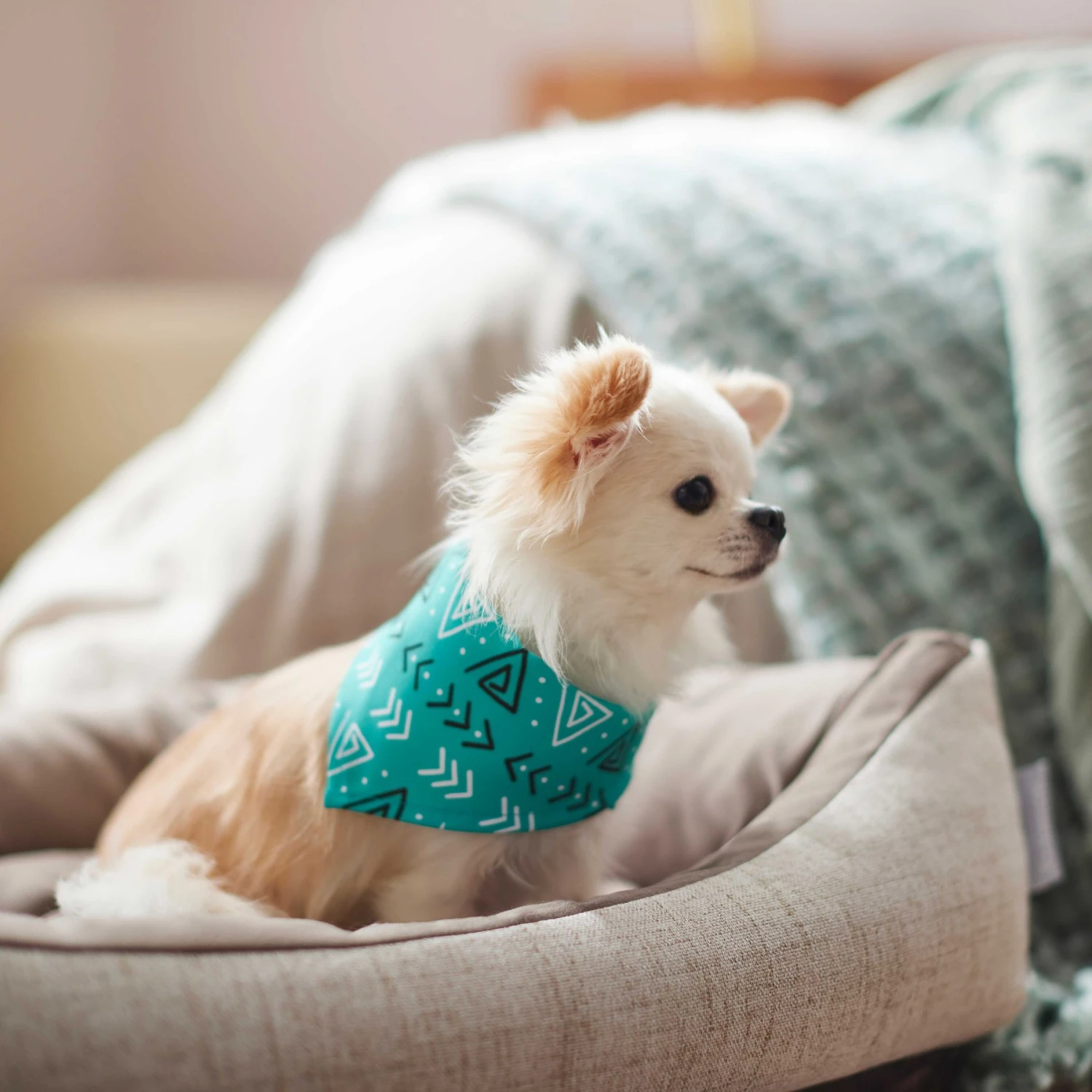 Frisco Geometric Dog & Cat Bandana 6 Frisco Geometric Dog & Cat Bandana - Image 6