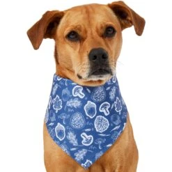 Frisco Fall Vibes Dog & Cat Bandana 10 Frisco Fall Vibes Dog & Cat Bandana -Mewhaus Shop 267913 PT2. AC SS1800 V1637722647