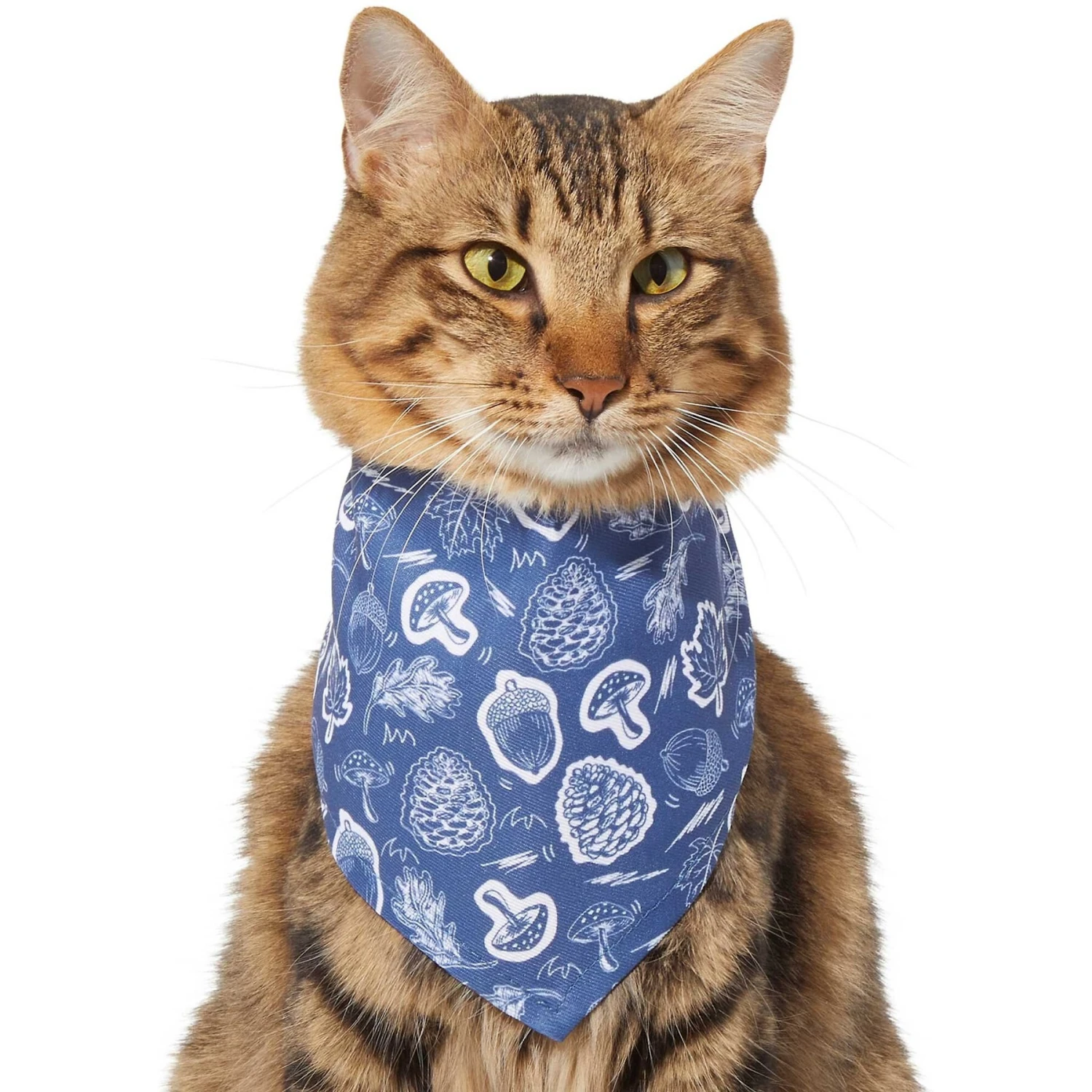 Frisco Fall Vibes Dog & Cat Bandana 4 Frisco Fall Vibes Dog & Cat Bandana - Image 4