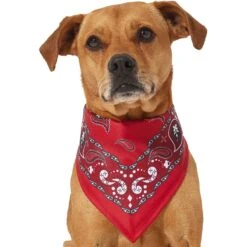 Frisco Red Paisley Dog & Cat Bandana -Mewhaus Shop 267919 PT2. AC SS1800 V1637669854