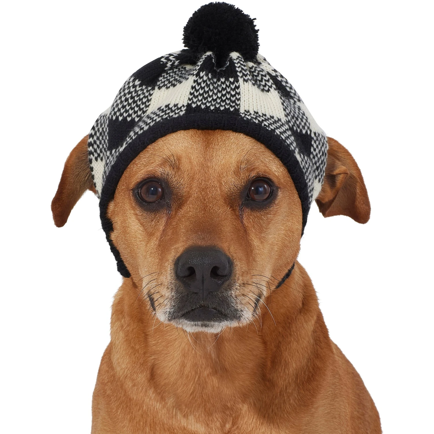 Frisco Plaid Dog & Cat Knitted Hat 3 Frisco Plaid Dog & Cat Knitted Hat - Image 3
