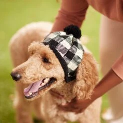 Frisco Plaid Dog & Cat Knitted Hat 9 Frisco Plaid Dog & Cat Knitted Hat -Mewhaus Shop 267925 PT8. AC SS1800 V1629755603