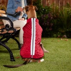 Frisco Mediumweight Reflective 2-in-1 Dog & Cat Fleece Coat -Mewhaus Shop 268359 PT8. AC SS1800 V1629759326