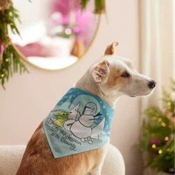 STAR WARS THE MANDALORIAN GROGU "Tis The Season" Dog & Cat Bandana 13 STAR WARS THE MANDALORIAN GROGU "Tis The Season" Dog & Cat Bandana -Mewhaus Shop 270539 PT5. AC SS1800 V1637671593