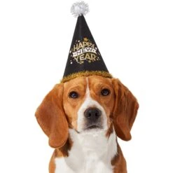 Frisco Happy New Year Dog & Cat Hat -Mewhaus Shop 276190 PT2. AC SS1800 V1631303599