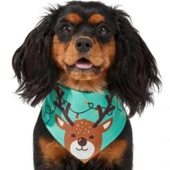 Frisco Peekaboo Reindeer Dog & Cat Bandana 11 Frisco Peekaboo Reindeer Dog & Cat Bandana -Mewhaus Shop 276198 PT3. AC SS1800 V1637687013