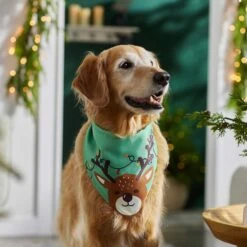 Frisco Peekaboo Reindeer Dog & Cat Bandana 13 Frisco Peekaboo Reindeer Dog & Cat Bandana -Mewhaus Shop 276198 PT5. AC SS1800 V1637644939