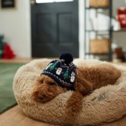 Frisco Jolly Snowman Dog & Cat Knitted Hat -Mewhaus Shop 276303 PT8. AC SS1800 V1631300384