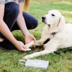 Ubbi® Ubbi On-The-Go Dog & Cat Wipes Dispenser -Mewhaus Shop 279128 PT3. AC SS1800 V1615509403