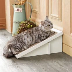 Way Basics ZBoard Paperboard Incline Scratcher Cat Toy 13 Way Basics ZBoard Paperboard Incline Scratcher Cat Toy -Mewhaus Shop 280457 PT5. AC SS1800 V1690829870