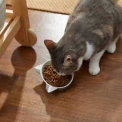 Disney Figaro No-Skid Ceramic Cat Bowl 7 Disney Figaro No-Skid Ceramic Cat Bowl -Mewhaus Shop 280580 PT3. AC SS1800 V1629986631