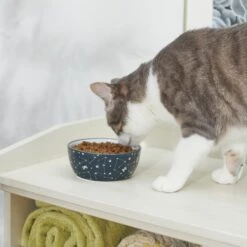 STAR WARS Navy Constellations No-Skid Ceramic Cat Bowl -Mewhaus Shop 280656 PT3. AC SS1800 V1629986532