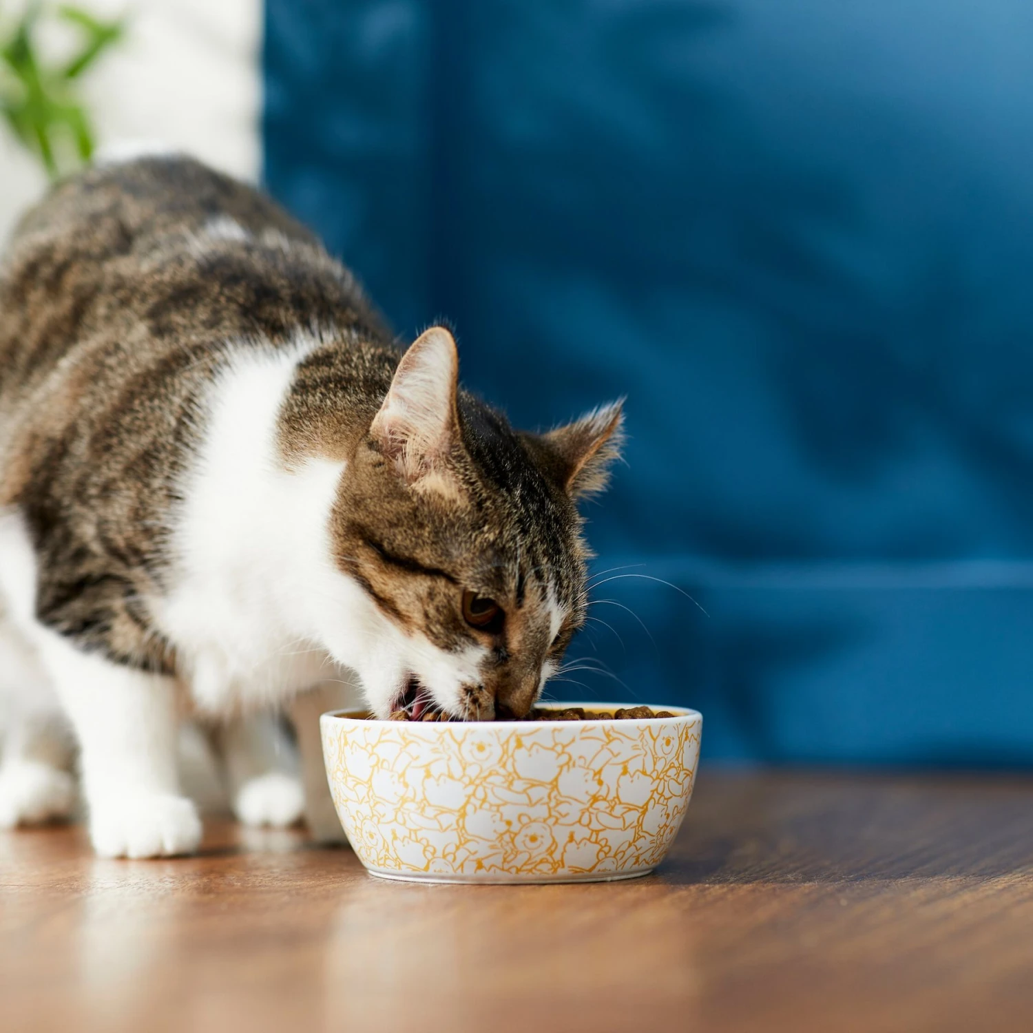 Disney Winnie The Pooh No-Skid Ceramic Cat Bowl 3 Disney Winnie The Pooh No-Skid Ceramic Cat Bowl - Image 3