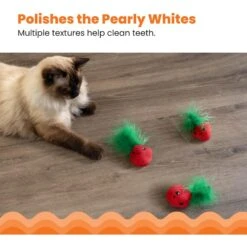 Catstages Straw-Babies Catnip Dental Cat Toy, 3 Count 10 Catstages Straw-Babies Catnip Dental Cat Toy, 3 Count -Mewhaus Shop 282256 PT3. AC SS1800 V1631687810