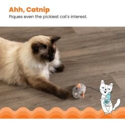 Catstages Squeak Squeak Mouse Cat Toy -Mewhaus Shop 282263 PT3. AC SS1800 V1636512259