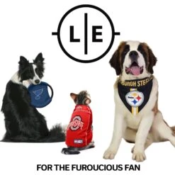 Littlearth NFL Personalized Stretch Dog & Cat Jersey -Mewhaus Shop 283735 PT6. AC SS1800 V1619404029