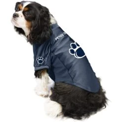 Littlearth NCAA Stretch Dog & Cat Jersey 9 Littlearth NCAA Stretch Dog & Cat Jersey -Mewhaus Shop 284004 PT2. AC SS1800 V1619531287