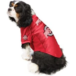 Littlearth NCAA Stretch Dog & Cat Jersey, Ohio State Buckeyes 9 Littlearth NCAA Stretch Dog & Cat Jersey, Ohio State Buckeyes -Mewhaus Shop 284138 PT2. AC SS1800 V1619492292