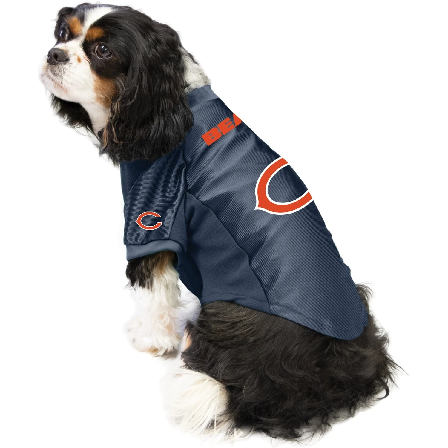 Littlearth NFL Stretch Dog & Cat Jersey, Chicago Bears 3 Littlearth NFL Stretch Dog & Cat Jersey, Chicago Bears - Image 3