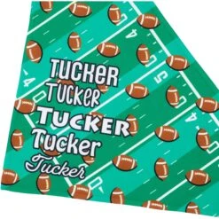 Frisco Football Personalized Dog & Cat Bandana -Mewhaus Shop 287044 PT4. AC SS1800 V1623246178