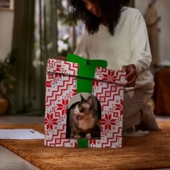 Frisco Holiday Gift Box Cardboard Cat House -Mewhaus Shop 287291 PT3. AC SS1800 V1695043502