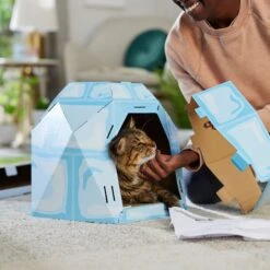 Frisco Igloo Cardboard Cat House 9 Frisco Igloo Cardboard Cat House -Mewhaus Shop 287293 PT3. AC SS1800 V1692035199