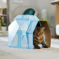 Frisco Igloo Cardboard Cat House 10 Frisco Igloo Cardboard Cat House -Mewhaus Shop 287293 PT4. AC SS1800 V1692035193