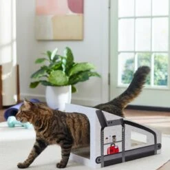 Frisco Treadmill Cardboard Cat House -Mewhaus Shop 288967 PT3. AC SS1800 V1638288289
