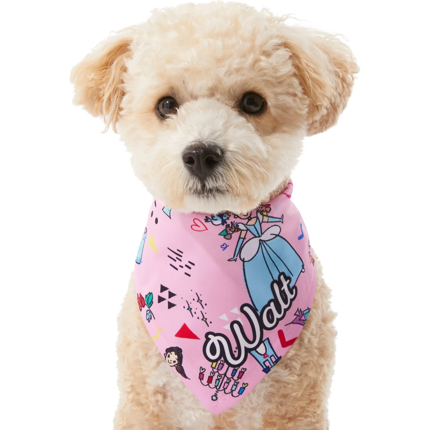 Disney Teeny Princesses Personalized Dog & Cat Bandana 7 Disney Teeny Princesses Personalized Dog & Cat Bandana - Image 7