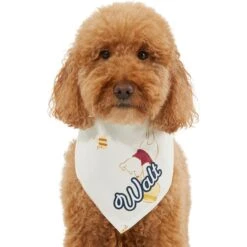 Disney Winnie The Pooh Personalized Dog & Cat Bandana 14 Disney Winnie The Pooh Personalized Dog & Cat Bandana -Mewhaus Shop 290158 PT6. AC SS1800 V1630429051