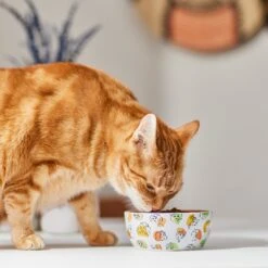 Disney Princesses Non-Skid Ceramic Cat Bowl 7 Disney Princesses Non-Skid Ceramic Cat Bowl -Mewhaus Shop 291395 PT3. AC SS1800 V1633979293