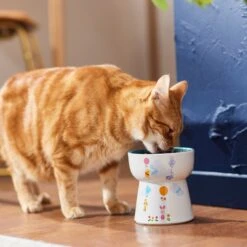 Disney Winnie The Pooh Tall Shape Non-Skid Elevated Ceramic Cat Bowl 7 Disney Winnie The Pooh Tall Shape Non-Skid Elevated Ceramic Cat Bowl -Mewhaus Shop 291407 PT3. AC SS1800 V1633979783