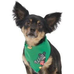 Disney Mickey Mouse Golden Days Personalized Dog & Cat Bandana -Mewhaus Shop 294293 PT6. AC SS1800 V1625153291