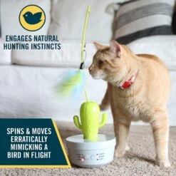 OurPets Cactus Wand Cat Toy 9 OurPets Cactus Wand Cat Toy -Mewhaus Shop 295682 PT4. AC SS1800 V1632947541