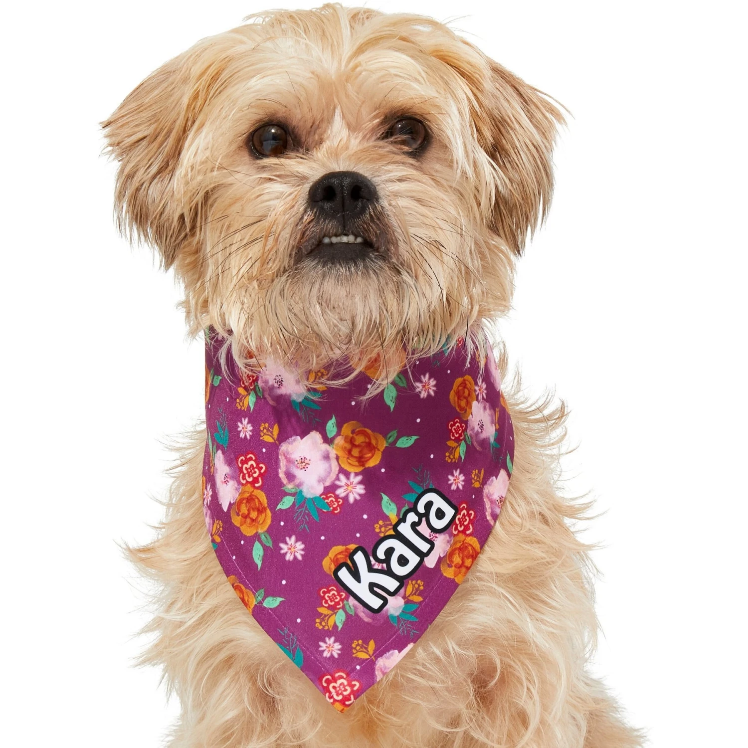 Frisco Fall Floral Personalized Dog & Cat Bandana 7 Frisco Fall Floral Personalized Dog & Cat Bandana - Image 7