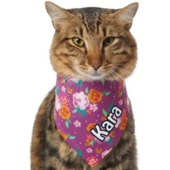 Frisco Fall Floral Personalized Dog & Cat Bandana 16 Frisco Fall Floral Personalized Dog & Cat Bandana -Mewhaus Shop 296990 PT7. AC SS1800 V1627653979