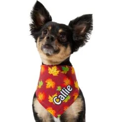 Frisco Fall Leaves Personalized Dog & Cat Bandana -Mewhaus Shop 296994 PT6. AC SS1800 V1627654351