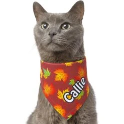 Frisco Fall Leaves Personalized Dog & Cat Bandana -Mewhaus Shop 296994 PT7. AC SS1800 V1627655275