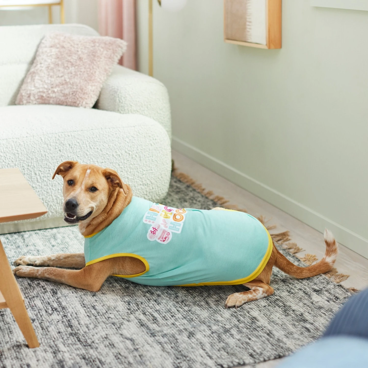 Disney Mickey & Minnie "Hip Hop Hooray" Dog & Cat T-Shirt 6 Disney Mickey & Minnie "Hip Hop Hooray" Dog & Cat T-Shirt - Image 6
