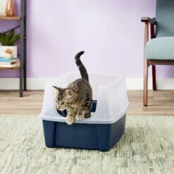 Frisco Plastic Litter Scooper With Caddy & IRIS USA Open Top Litter Box With Scatter Shield -Mewhaus Shop 298166 PT6. AC SS1800 V1623202669